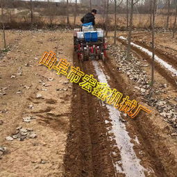 红星区农田革新 多功能花生覆膜机引领高效种植新时代