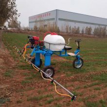 高效农业新助力 自走杀虫喷药机在高杆玉米作业中的革命性应用