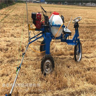 娄底园林四轮手推式打药机与柴油机三轮车小麦喷药机及运苗机综合应用解析