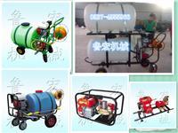 高效率防除治病虫打药机 背负式高压喷雾器助力现代农业